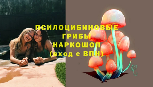 кокс Алзамай