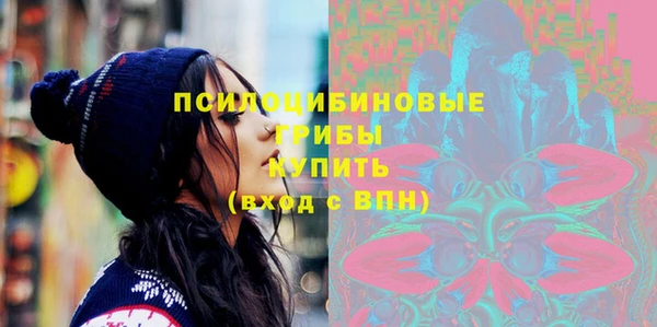 дживик Алексин